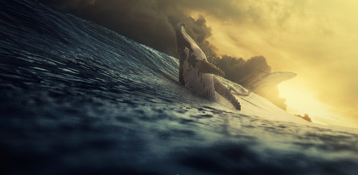 4K Whales breaching in stormy ocean waves