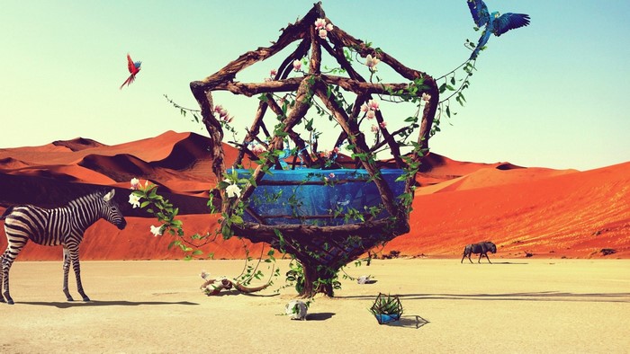 Creative Art by Justin Maller