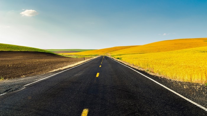Road through rolling farmland with yellow crops
