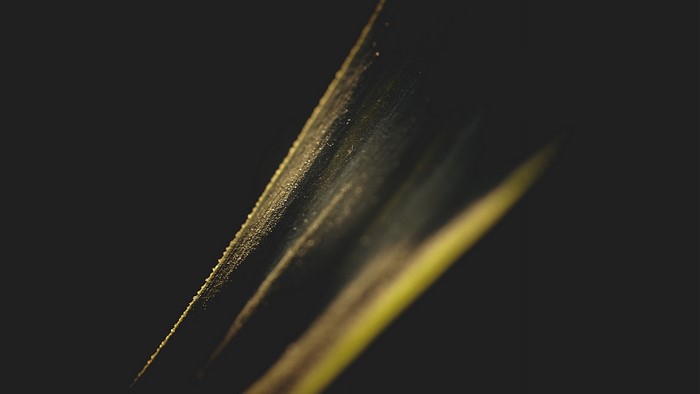 Golden Leaf with Subtle Light