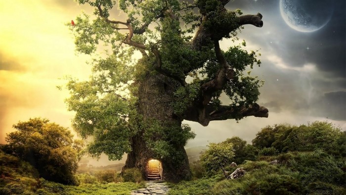 Fantasy old tree with entrance and moon