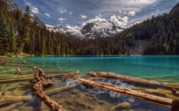 Turquoise lake with fallen logs and snow-capped mountains