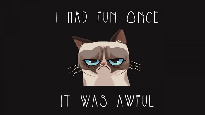Grumpy Cat I Had Fun Once It Was Awful
