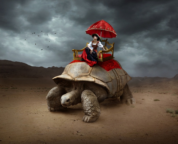 Woman riding a giant tortoise in the desert