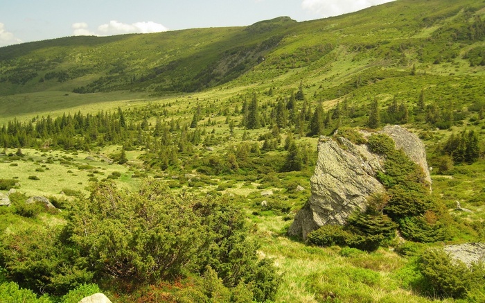 Green mountain valley with scattered trees and rocks