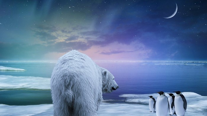 Polar Bear and Penguins under Northern Lights
