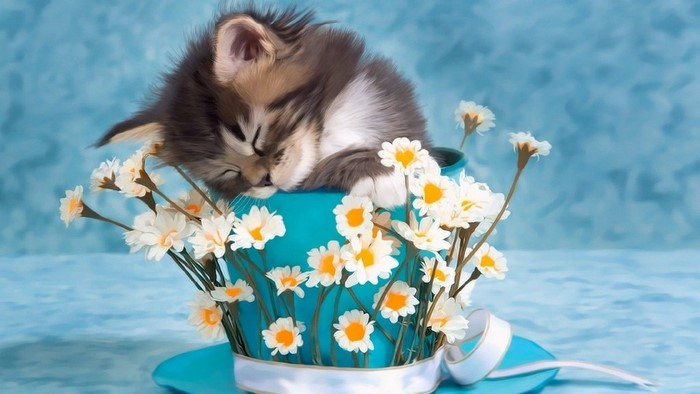 Kitten sleeping in a teacup with flowers