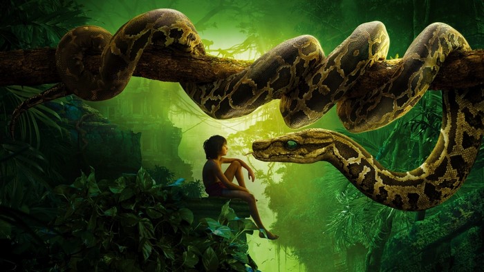 Kaa and Mowgli from The Jungle Book