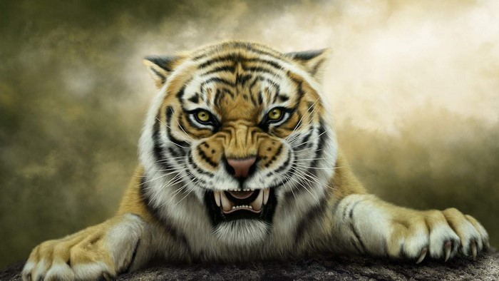 Tiger roaring with bared teeth