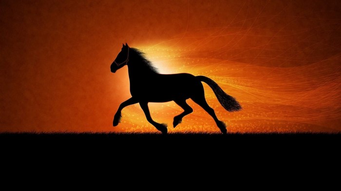 Silhouette of a horse running at sunset