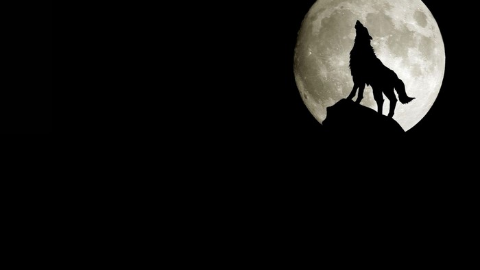 Wolf howling at full moon