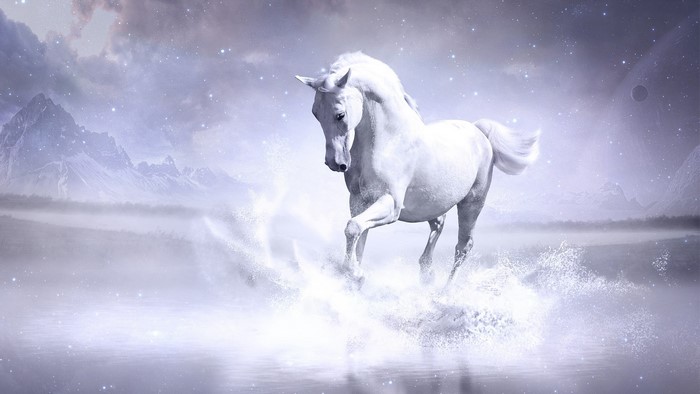 White Horse Running Through Water