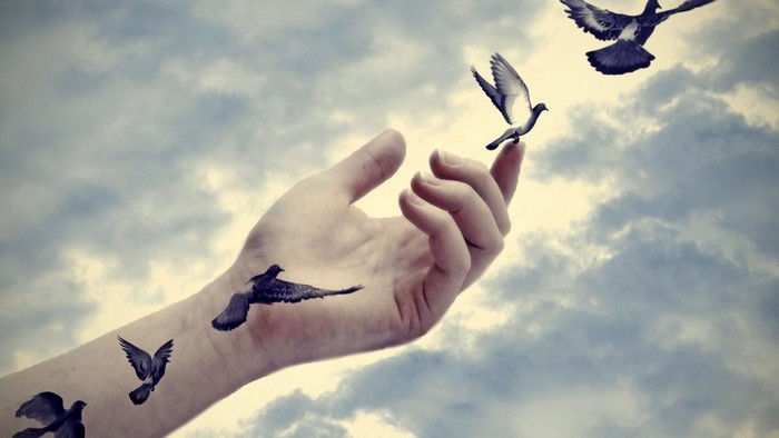 Hand releasing birds into cloudy sky