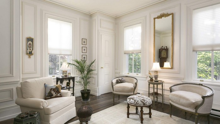 Elegant Living Room with Antique Furniture and Mirror