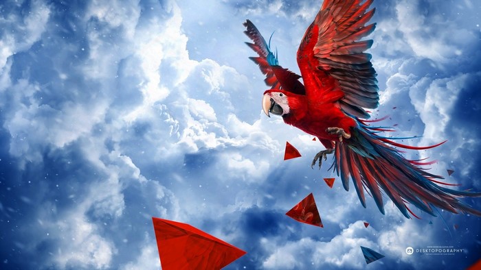 Scarlet Macaw Flying Among Clouds and Triangles