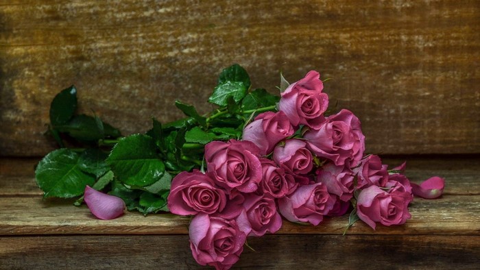 Pink roses on a wooden surface