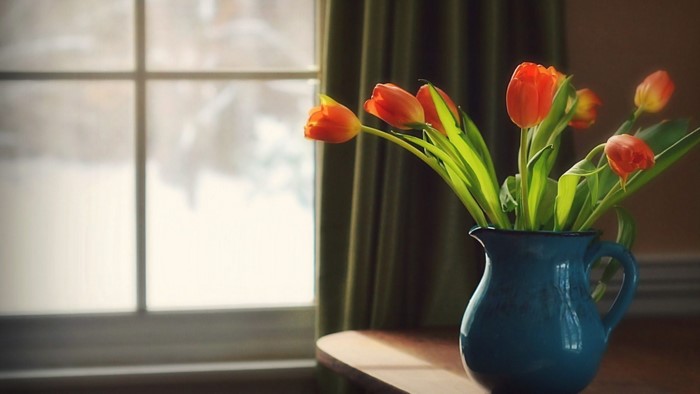 Orange tulips in a blue vase by the window