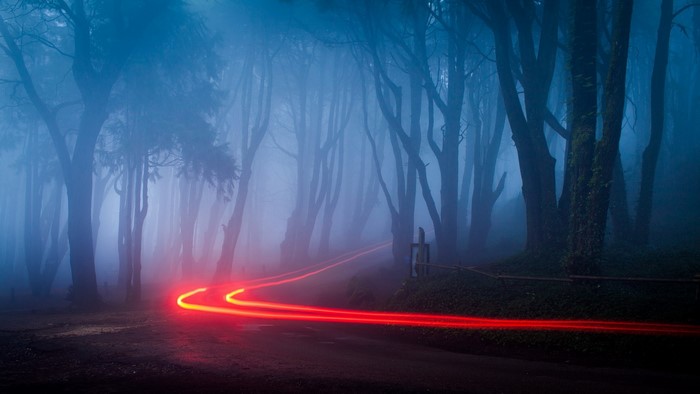 Foggy forest road with red light trails