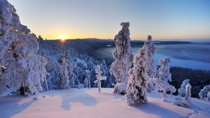 Snowy forest landscape at sunset in Finland