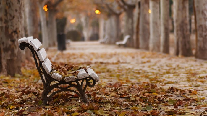Autumn park bench covered in fallen leaves