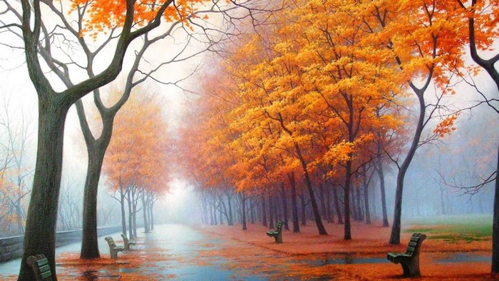 Autumn park with benches and trees in fog