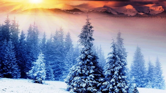 Snowy Mountains Sunrise Over Forest