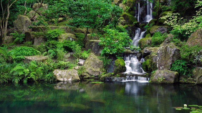 Waterfall cascading into a tranquil lake surrounded by rocks and greenery