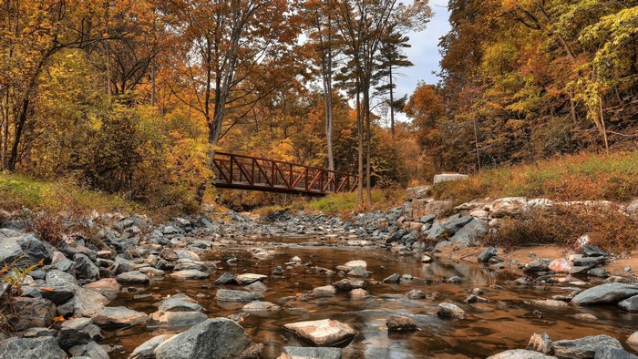 Bridge over a rocky stream in an autumn forest
