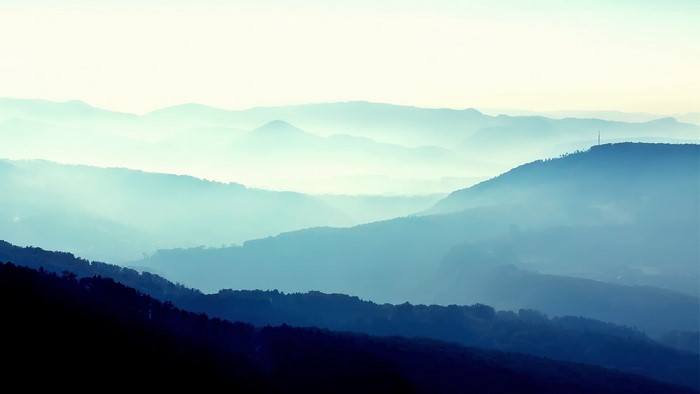 Blue Hills Forest Mist