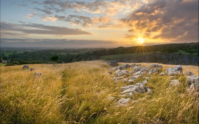 Sunset over a grassy hill with rocks and trees