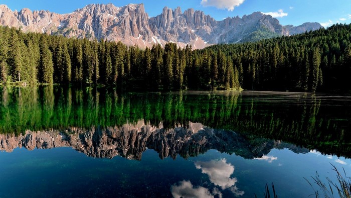 Forest Lake Reflection with Mountains