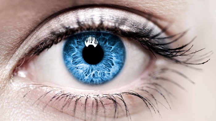 Close-up of a Blue Eye