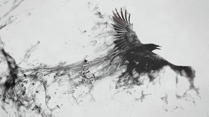 Blackbird Raven Ink Dissolve