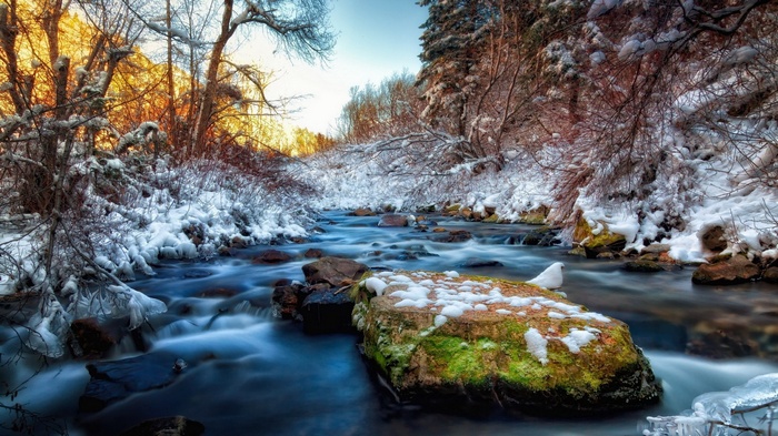 Winter stream with snow-covered trees and rocks