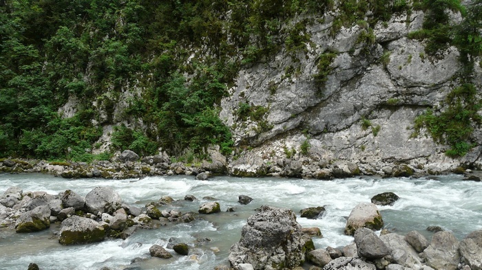 Mountain river flowing through a rocky gorge with trees