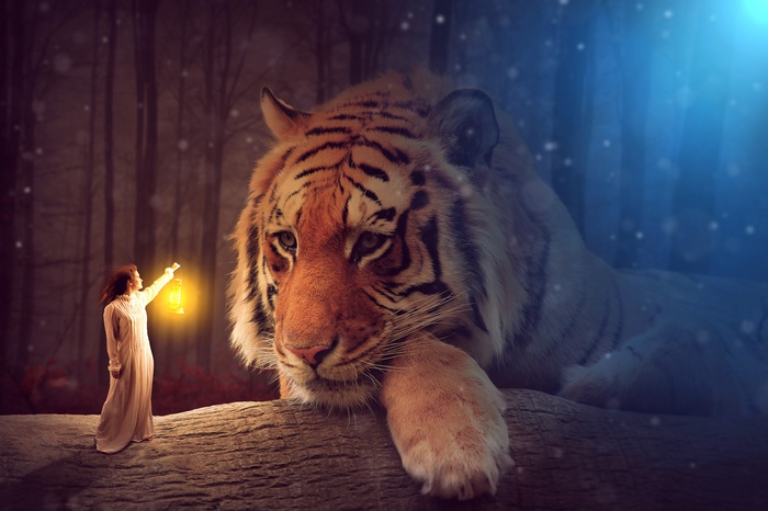 Big tiger, 4K, Woman, Lantern, Fairy