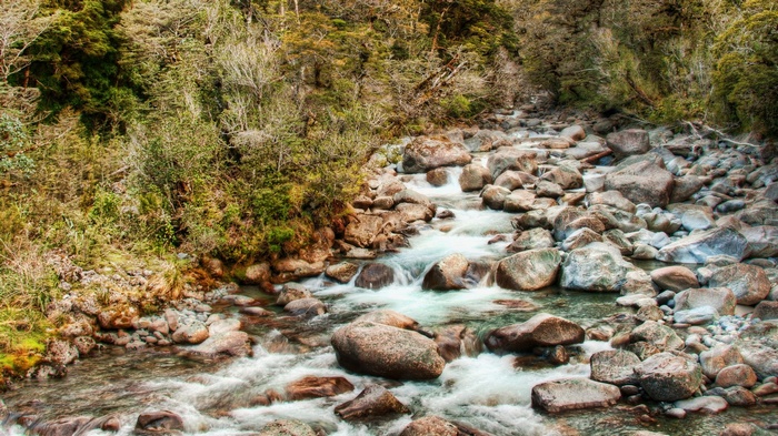 Rocky river flowing through a forest