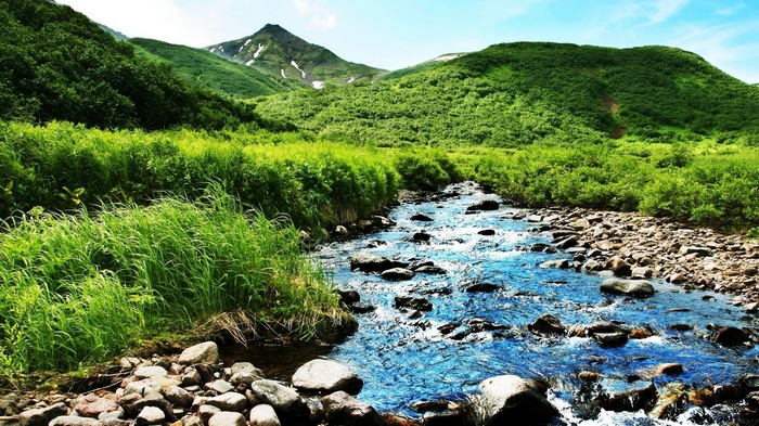 Mountain stream flowing through a green valley