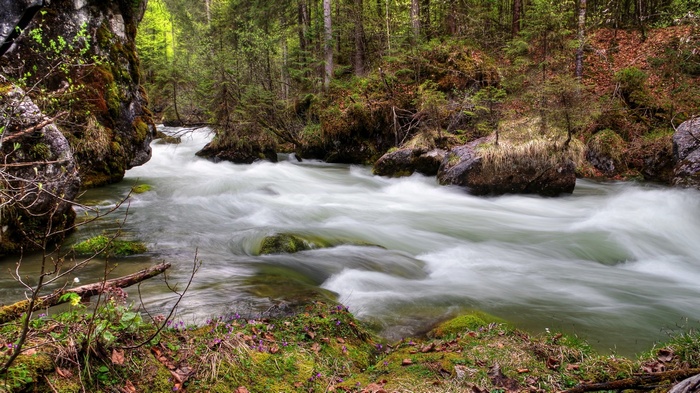 A fast-flowing river through a forest