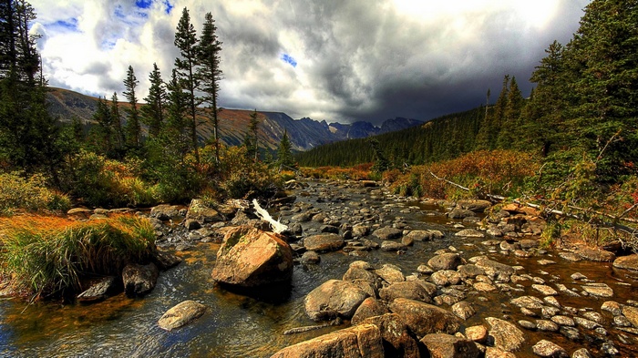 Rocky mountain stream with pine trees and stormy sky