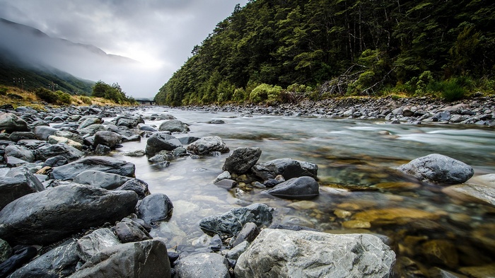 River flowing through a rocky landscape with a forest