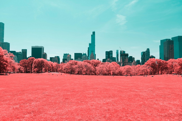 Central Park, Manhattan, New York City, Infrared