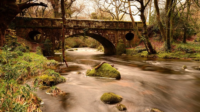 Stone bridge over a flowing river in a forest