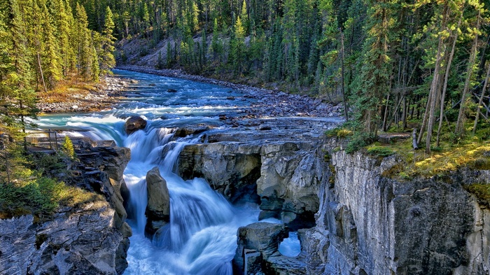 Waterfall in a Forested Canyon
