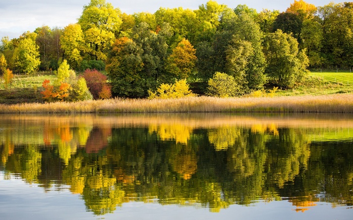 Autumn trees reflected in a lake