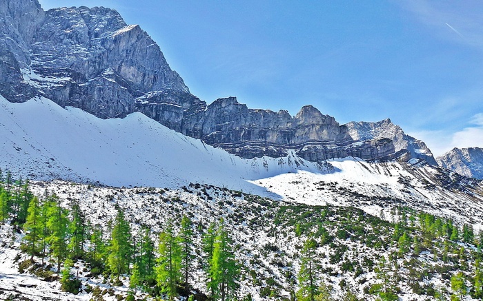 Snowy mountain range with green pine trees