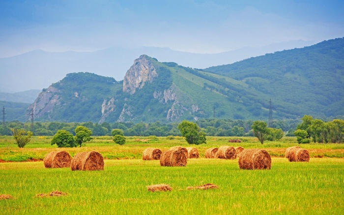 Hay bales in a field with mountains