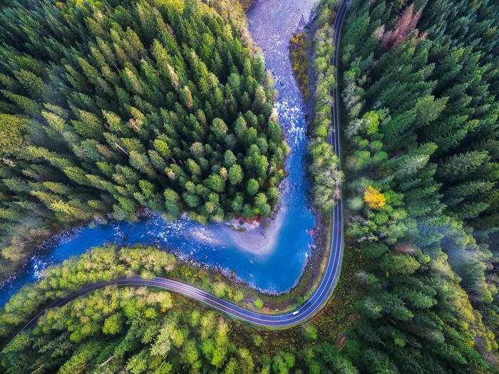 Aerial view of Mountain Loop Highway and forest
