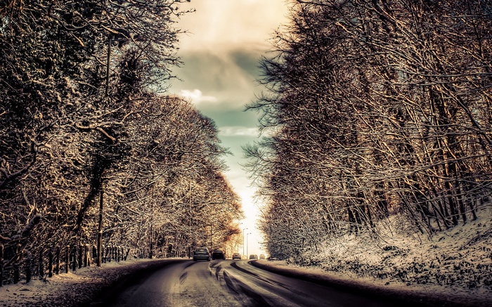 Cars on a snowy road lined with trees