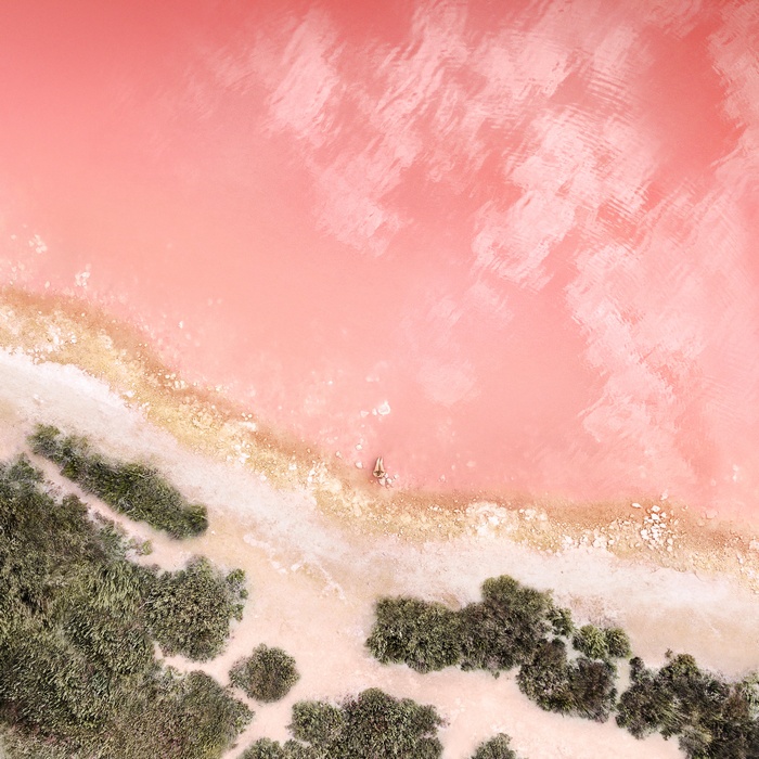 Person relaxing in pink salt lake with vegetation